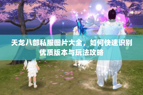 天龙八部私服图片大全，如何快速识别优质版本与玩法攻略