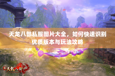 天龙八部私服图片大全，如何快速识别优质版本与玩法攻略