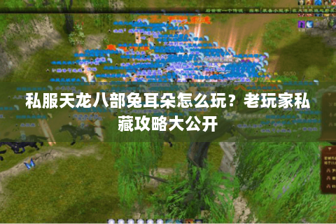 私服天龙八部兔耳朵怎么玩？老玩家私藏攻略大公开