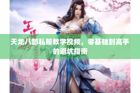 天龙八部私服教学视频，零基础到高手的避坑指南
