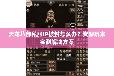 天龙八部私服IP被封怎么办？资深玩家实测解决方案
