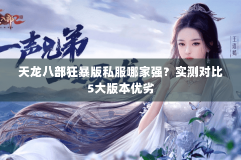 天龙八部狂暴版私服哪家强？实测对比5大版本优劣