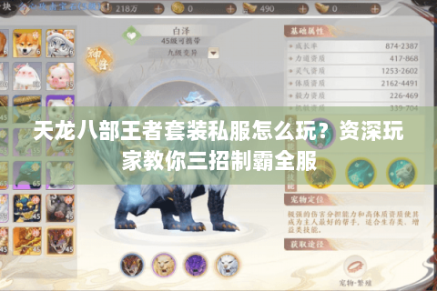 天龙八部王者套装私服怎么玩？资深玩家教你三招制霸全服