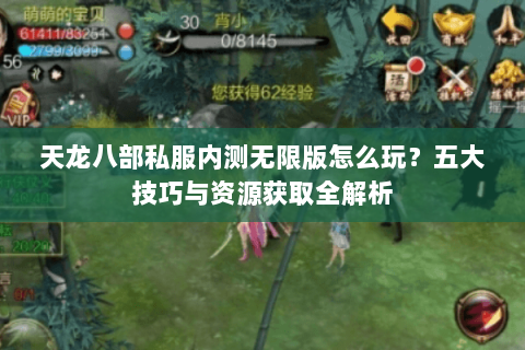天龙八部私服内测无限版怎么玩？五大技巧与资源获取全解析