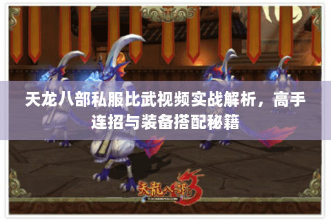 天龙八部私服比武视频实战解析，高手连招与装备搭配秘籍