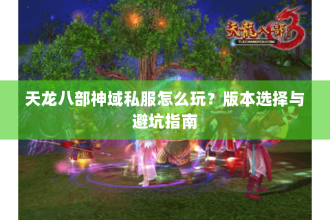 天龙八部神域私服怎么玩？版本选择与避坑指南