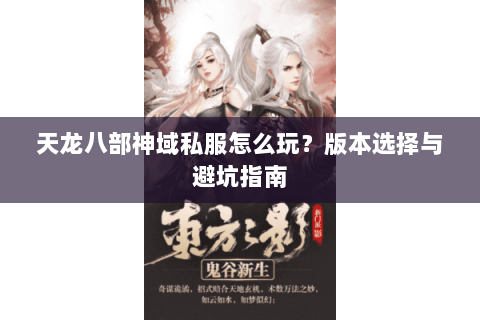 天龙八部神域私服怎么玩？版本选择与避坑指南