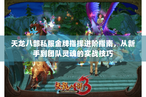 天龙八部私服金牌指挥进阶指南，从新手到团队灵魂的实战技巧