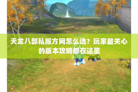 天龙八部私服方网怎么选？玩家最关心的版本攻略都在这里