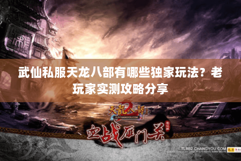 武仙私服天龙八部有哪些独家玩法？老玩家实测攻略分享