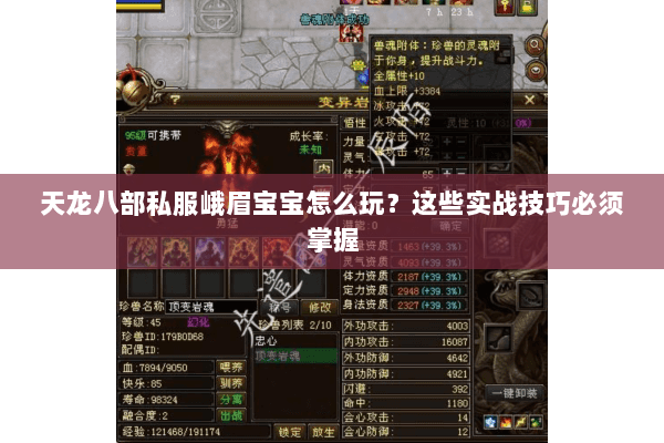 天龙八部私服峨眉宝宝怎么玩？这些实战技巧必须掌握