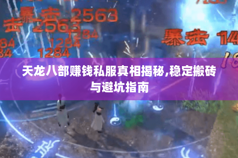 天龙八部赚钱私服真相揭秘,稳定搬砖与避坑指南