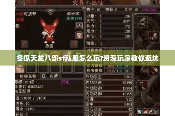 冬瓜天龙八部sf私服怎么玩?资深玩家教你避坑