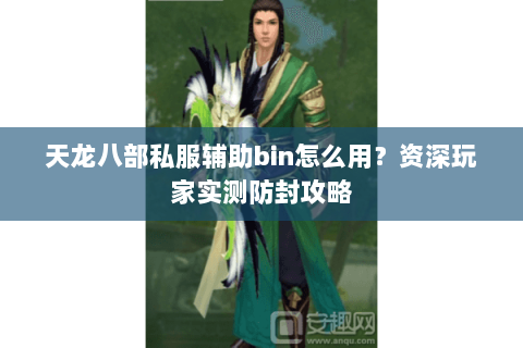 天龙八部私服辅助bin怎么用？资深玩家实测防封攻略