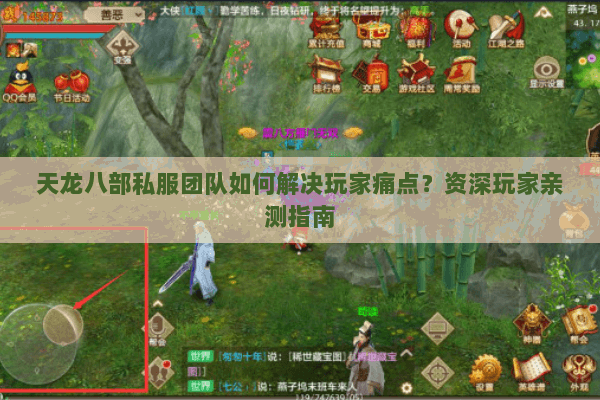天龙八部私服团队如何解决玩家痛点？资深玩家亲测指南