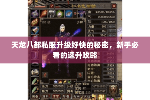 天龙八部私服升级好快的秘密，新手必看的速升攻略