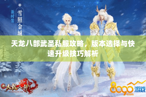 天龙八部武圣私服攻略，版本选择与快速升级技巧解析