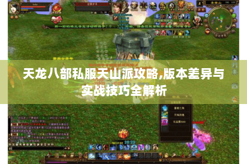 天龙八部私服天山派攻略,版本差异与实战技巧全解析