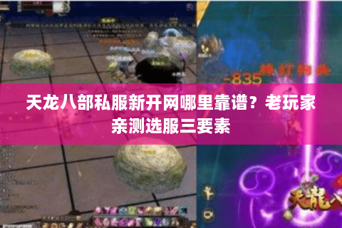 天龙八部私服新开网哪里靠谱？老玩家亲测选服三要素