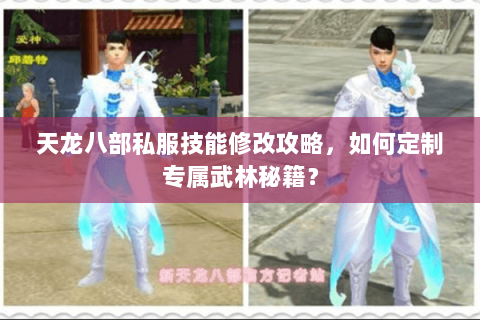 天龙八部私服技能修改攻略，如何定制专属武林秘籍？