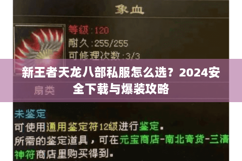 新王者天龙八部私服怎么选？2024安全下载与爆装攻略