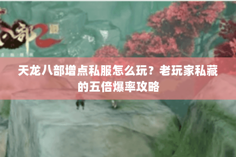 天龙八部增点私服怎么玩？老玩家私藏的五倍爆率攻略