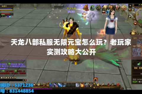 天龙八部私服无限元宝怎么玩？老玩家实测攻略大公开