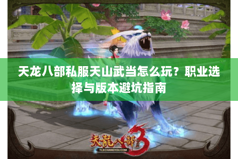 天龙八部私服天山武当怎么玩？职业选择与版本避坑指南