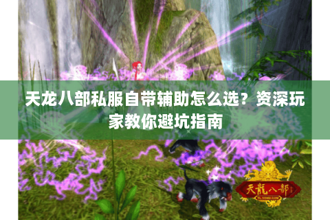 天龙八部私服自带辅助怎么选？资深玩家教你避坑指南