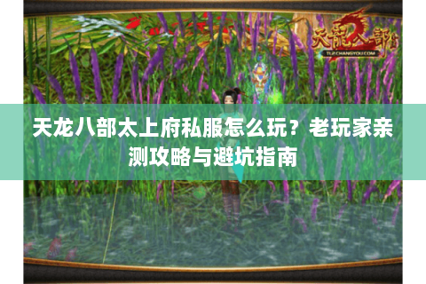 天龙八部太上府私服怎么玩？老玩家亲测攻略与避坑指南