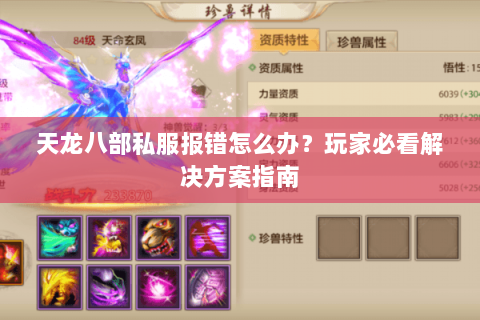 天龙八部私服报错怎么办？玩家必看解决方案指南