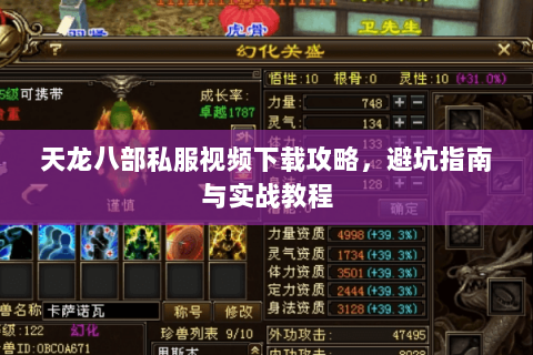 天龙八部私服视频下载攻略，避坑指南与实战教程
