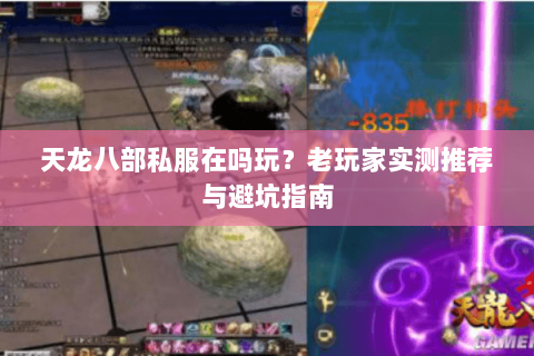 天龙八部私服在吗玩？老玩家实测推荐与避坑指南