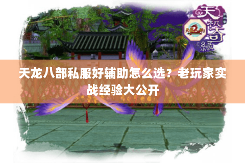 天龙八部私服好辅助怎么选？老玩家实战经验大公开