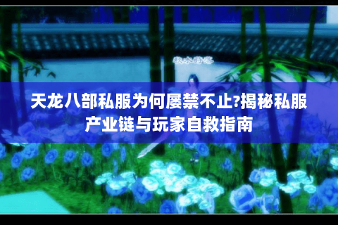 天龙八部私服为何屡禁不止?揭秘私服产业链与玩家自救指南