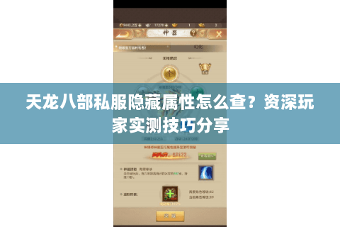 天龙八部私服隐藏属性怎么查？资深玩家实测技巧分享