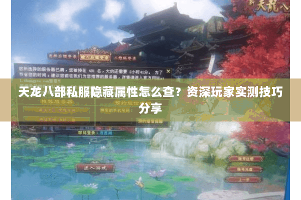 天龙八部私服隐藏属性怎么查？资深玩家实测技巧分享