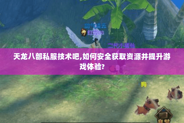 天龙八部私服技术吧，如何安全获取资源并提升游戏体验？