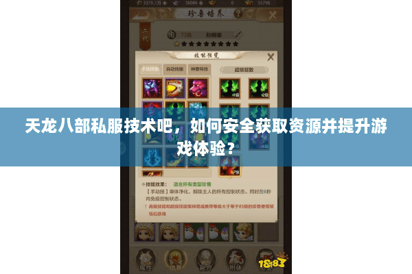天龙八部私服技术吧，如何安全获取资源并提升游戏体验？