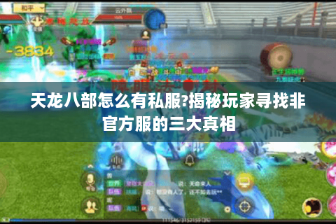 天龙八部怎么有私服?揭秘玩家寻找非官方服的三大真相