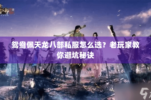鸳鸯佩天龙八部私服怎么选？老玩家教你避坑秘诀