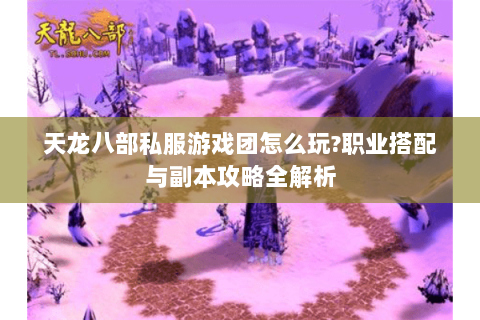 天龙八部私服游戏团怎么玩?职业搭配与副本攻略全解析