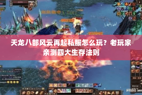 天龙八部风云再起私服怎么玩？老玩家亲测四大生存法则