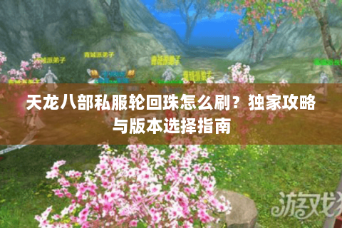 天龙八部私服轮回珠怎么刷？独家攻略与版本选择指南