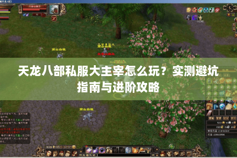 天龙八部私服大主宰怎么玩？实测避坑指南与进阶攻略