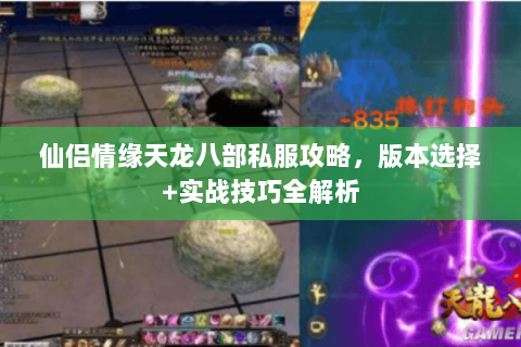 仙侣情缘天龙八部私服攻略，版本选择+实战技巧全解析