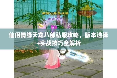 仙侣情缘天龙八部私服攻略，版本选择+实战技巧全解析