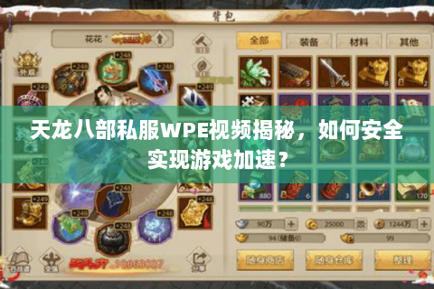 天龙八部私服WPE视频揭秘，如何安全实现游戏加速？
