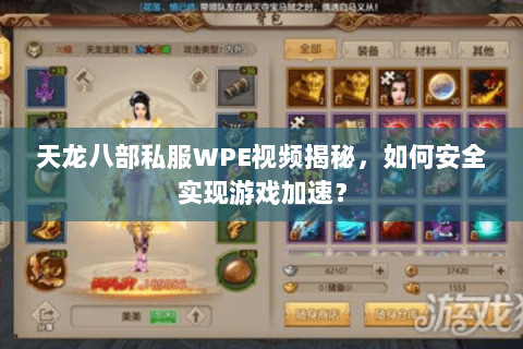 天龙八部私服WPE视频揭秘，如何安全实现游戏加速？