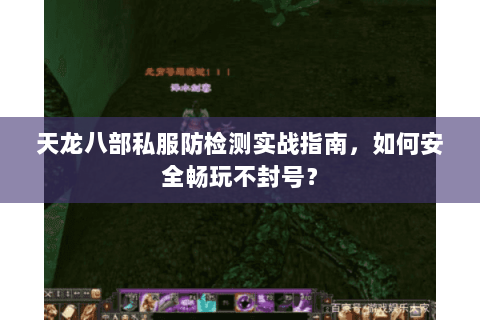 天龙八部私服防检测实战指南，如何安全畅玩不封号？